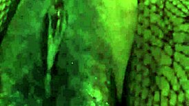 dirty slutty maid peeing indoors in her thong and panties