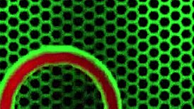 Busty Blonde Tasha Reign in SEXY PIJAMA PARTY!