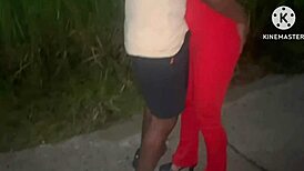 Wife Has Amateur Sex With Black Guy On Street
