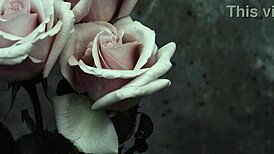 mcr - i dont love you sub español