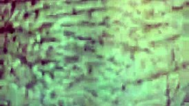 Mature latina milf bent over for rough doggystyle fucking by young man