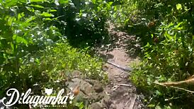 Naughty Woman Flashes in Public Place Almost Caught by Homeless