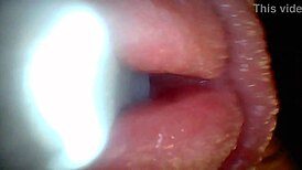 uh, i dunno how this endoscope shows penis close-ups for education...