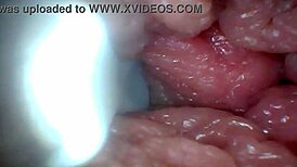 uh, i dunno how this endoscope shows penis close-ups for education...