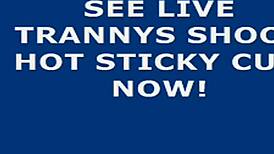 hot shemale cums hard on webcam, wow! 😍