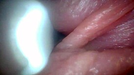 uh, i dunno how this endoscope shows penis close-ups for education...