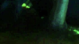 kingdinglong enjoys a big black cock gumjob from a mature white cougar in this interracial encounter