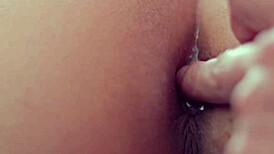 Hurry Goku, Master Roshi Wants Bulma's Big Ass