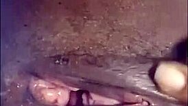 hottest pornstar chronological sequence compilation one - mastermeat1