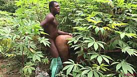 Somewhere in Africa, Nigeria, farmers getting down with serious action?