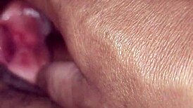 Brunette with hairy pussy shows off her beaver