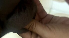 Stuck With Milf In Bathroom!