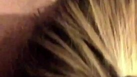 stallion milker season 4 with dutch italian brazilian mexican themes