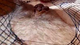 greta searches for a beautiful mature lady online