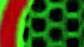 horny sara jay fucks that huge dildo milf gets that hole loose