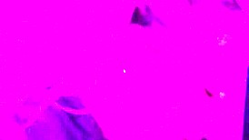 Wife Shares a Gentle Surprise with Her Husband