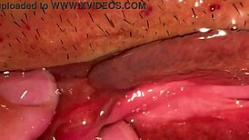 Amateur pink pussy fucked 172 days after virginity!