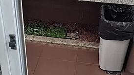 public bathroom handjob on small cock?