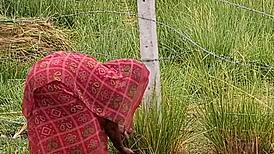 New indian honeymoon couple fucks outdoors with creampie and kissing in homemade video by mumbai ashu