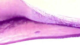 Rina aunty's romance with yog boy in telugu short