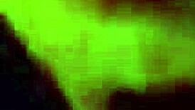 I sucked a big black cock as a mature bbw.