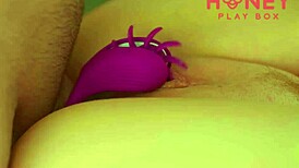 Extreme closeup shows cute amateur pussy getting fucked hard with cock ring