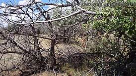 Savannah Vixen outdoors with mature amateurs - what are you watching?