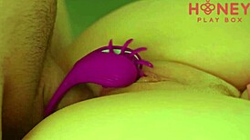 Extreme closeup shows cute amateur pussy getting fucked hard with cock ring