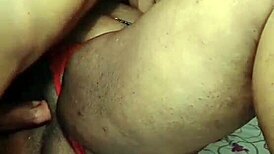 nigarchrist update 1447 petal 20250617 161201 jun 17 2025