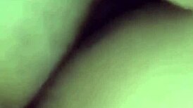 Cuzinho Devorando Rola In Transsexual Crossdressing Bareback