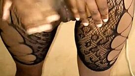 Petite Dee Wanks Happy Package