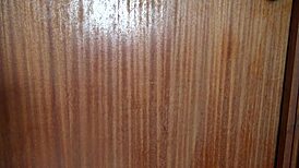 i'm the perverted stepmother peeing for my stepson