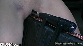 鞭打会探索SM动态和强度