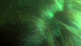 Trim 415Adab3-7D64-475C-Bfc3-40Ade2F58172 Mov