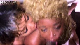 nina rivera and porsha carerra show don a good time with blowjob