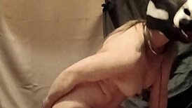 Slave f humiliated with anal defilement