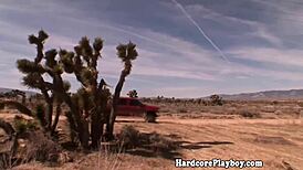 Outdoor babe fucking cock in the sun with licking and sucking