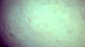 why are you eating that tight pussy from the back with your tongue licking so deep