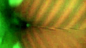 胖妹反向女上骑黑人大屌