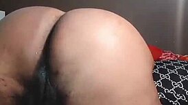 nigarchrist - update 1444 - petal 20250617 155219 - jun 17 2025