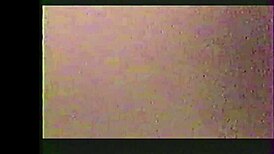 I watched Suzi get exploited on the casting couch in a wild group bang