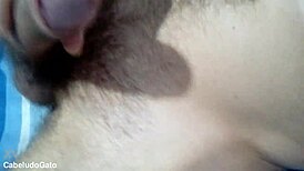 hairy cat close-up homemade amateur video