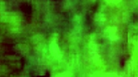 Cheating wife bends over for doggy