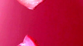 feeling the intense pleasure of uncensored japanese blowjob with cum in mouth close-up