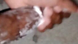 superdarius哥们睡前快速撸管射黏糊精液