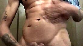 naughty big dick horse shows off for cam intriguingly