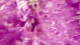 brunette latina gets outdoor doggystyle from stranger who watched her for days