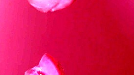 feeling the intense pleasure of uncensored japanese blowjob with cum in mouth close-up