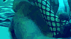 sexy footjob in nylons and leggings