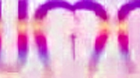 beautiful hot brazilian aylla mel gets fucked by three big cocks in intense double anal with no pussy penetration